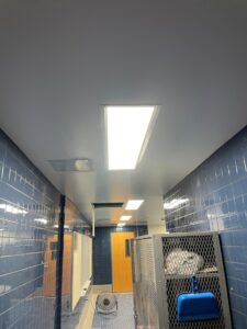 A blue tiled floor in a hallway.